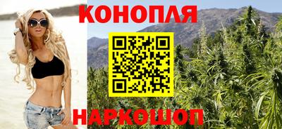 сатива Кимры